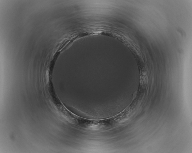 X0000113160504200909041258