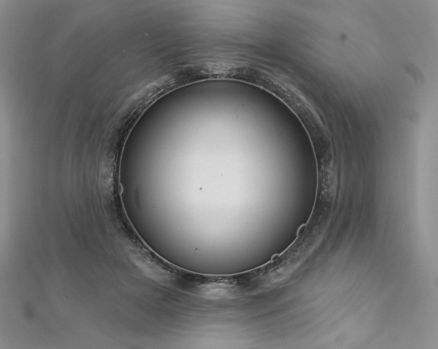 X0000113160505200909041258