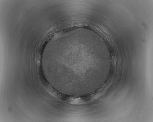 X0000113160507200909041258