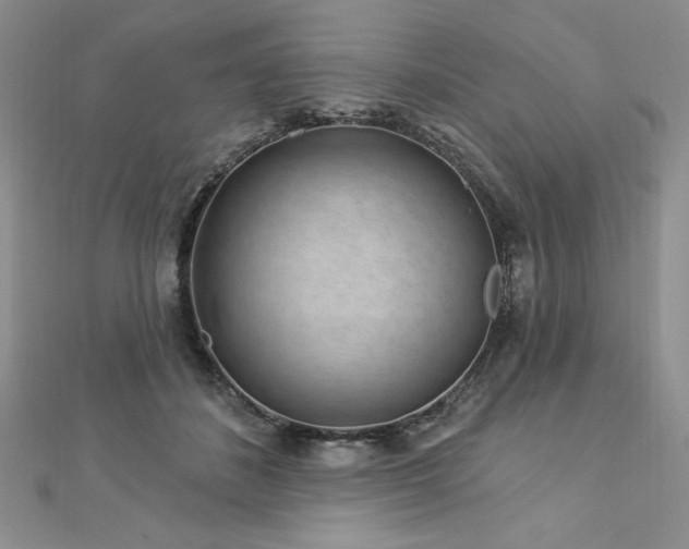 X0000113160508200909041258