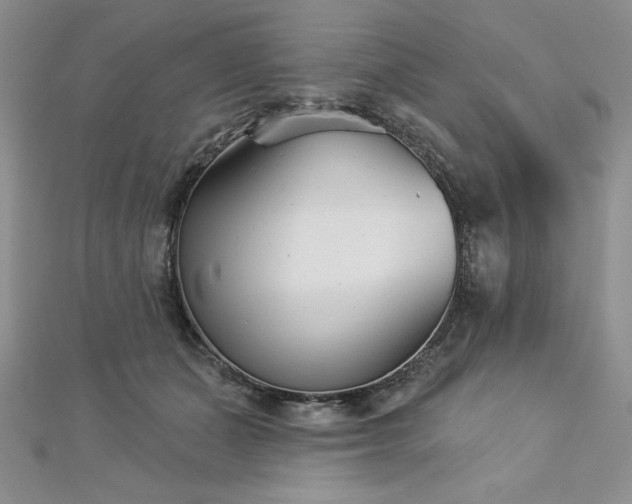 X0000113160511200909041258