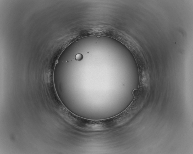 X0000113160514200909041258