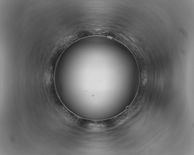 X0000113160515200909041258