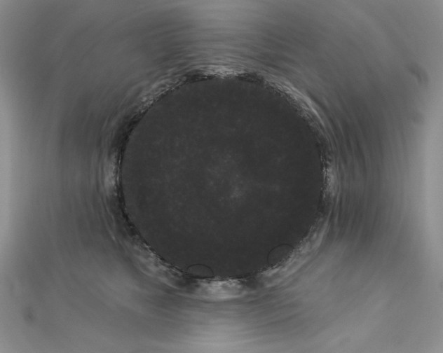 X0000113160517200909041258