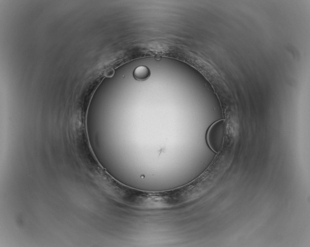 X0000113160518200909041258