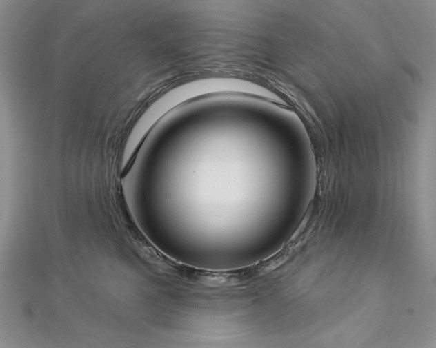 X0000113160521200909041258