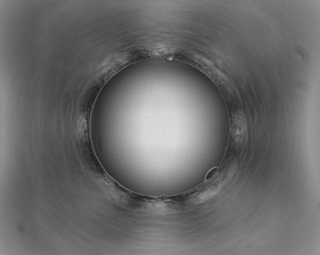 X0000113160523200909041258