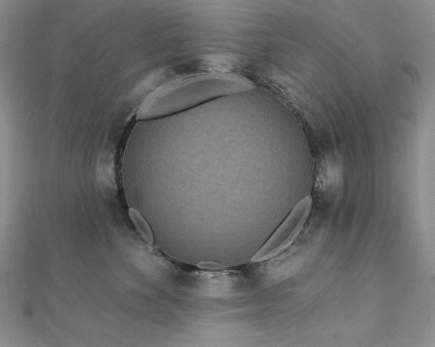 X0000113160524200909041258