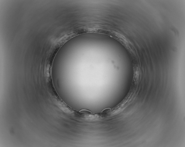 X0000113160525200909041258
