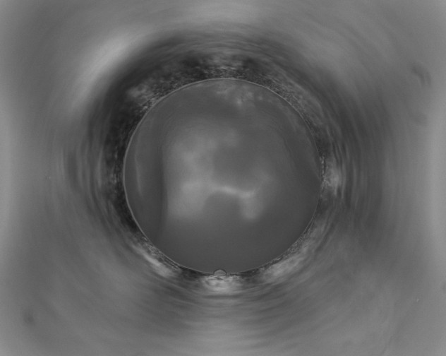 X0000113160526200909041258