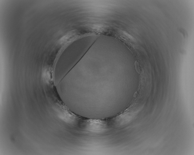 X0000113160528200909041258