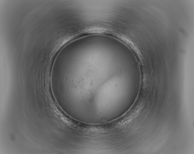 X0000113160529200909041257