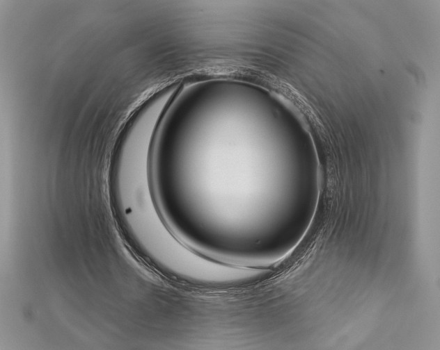 X0000113160530200909041257
