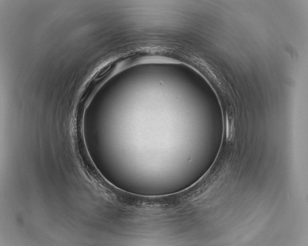 X0000113160531200909041257