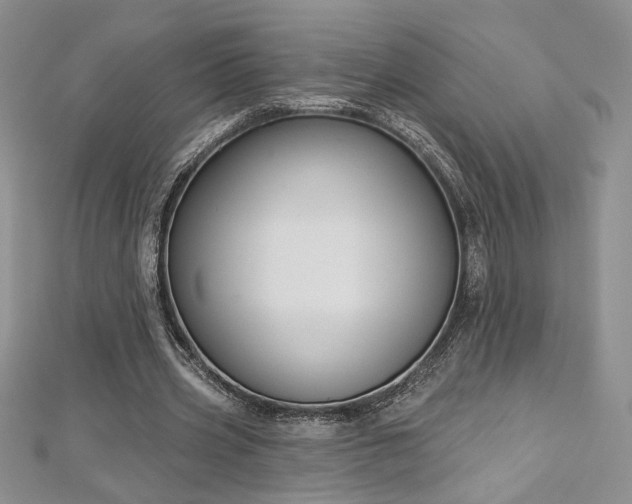 X0000113160533200909041257