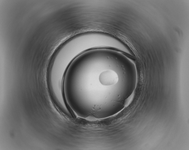 X0000113160534200909041257