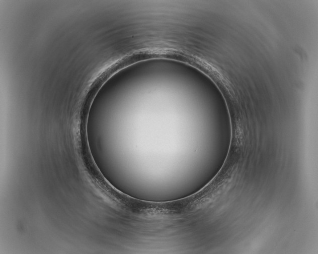 X0000113160535200909041257