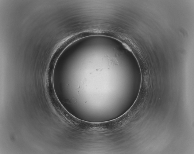 X0000113160536200909041257