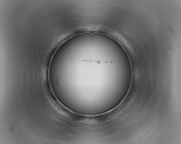 X0000113160537200909041257