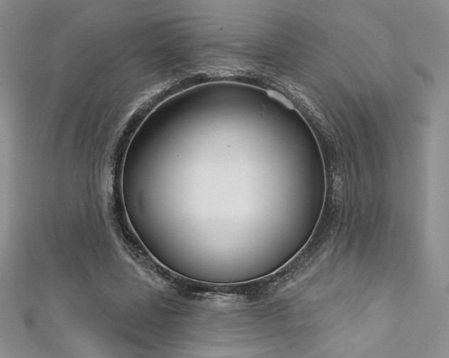 X0000113160539200909041257