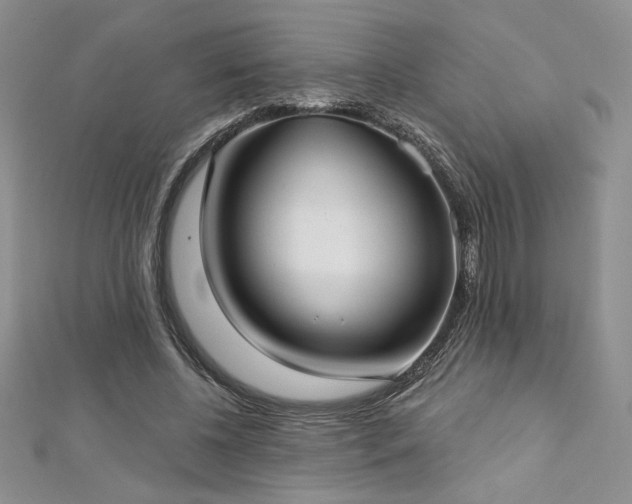 X0000113160540200909041257
