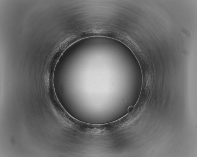 X0000113160542200909041257