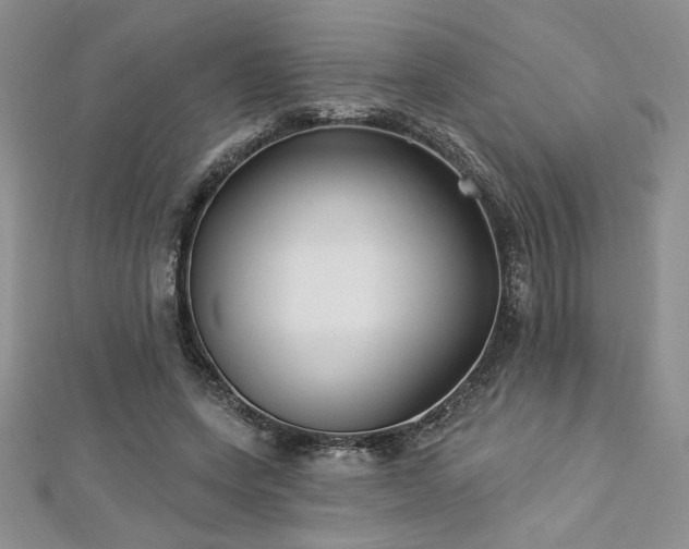 X0000113160543200909041257