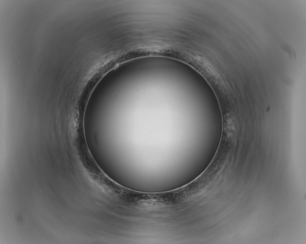 X0000113160544200909041257
