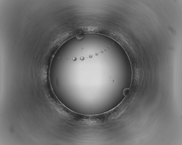 X0000113160545200909041257