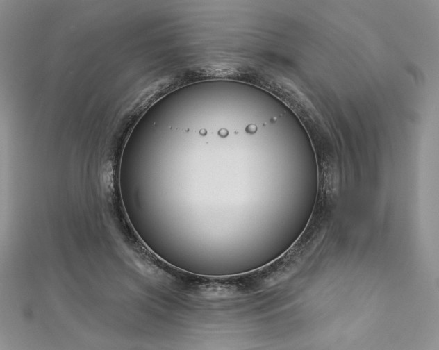 X0000113160549200909041257