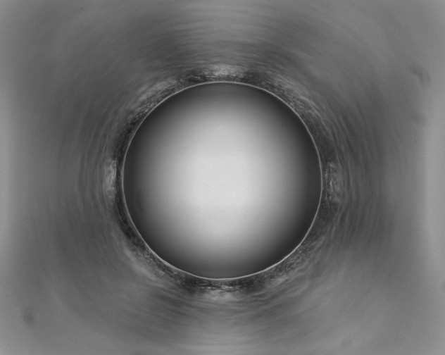 X0000113160550200909041258