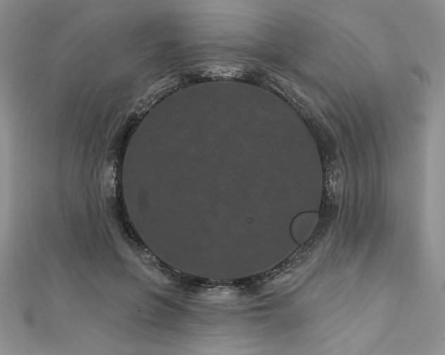 X0000113160551200909041258