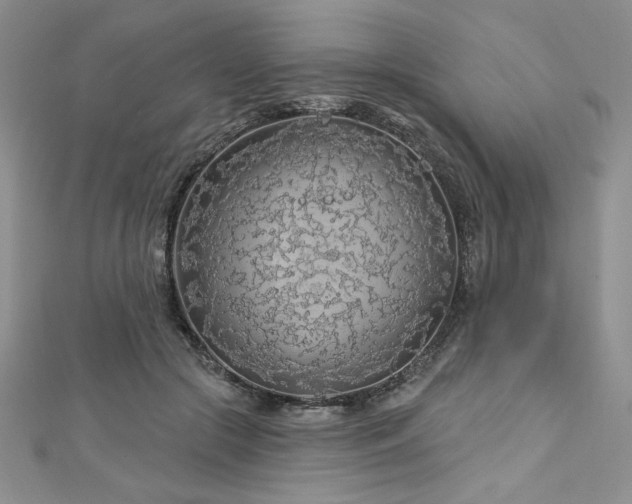 X0000113160553200909041258