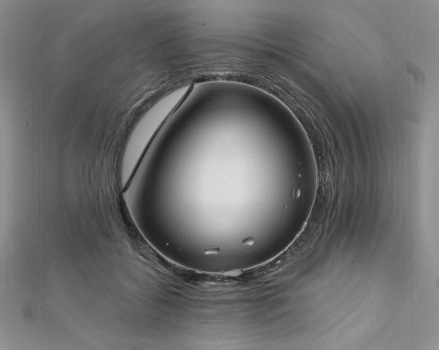 X0000113160556200909041258