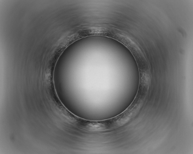 X0000113160557200909041258