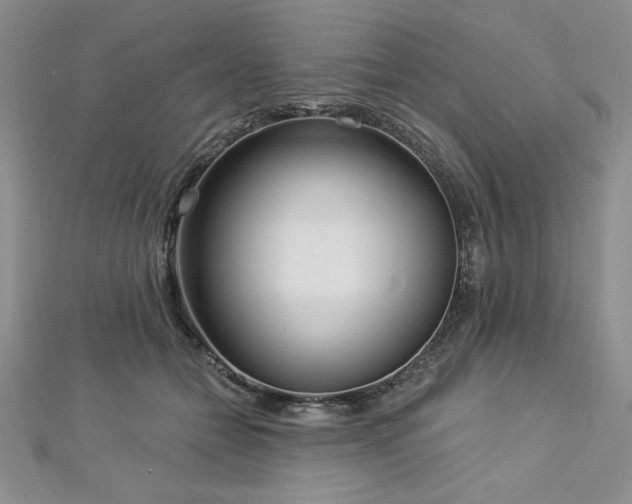 X0000113160558200909041258