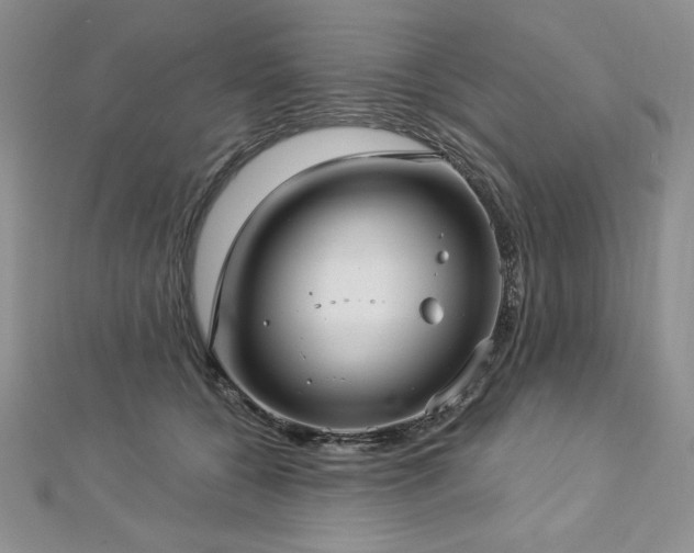 X0000113160560200909041258