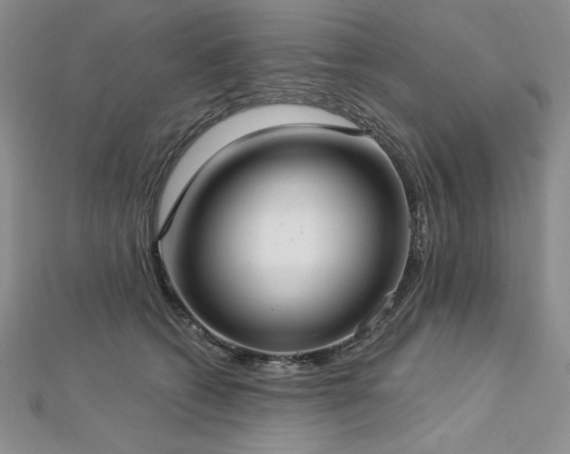 X0000113160562200909041258