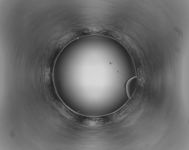 X0000113160563200909041258