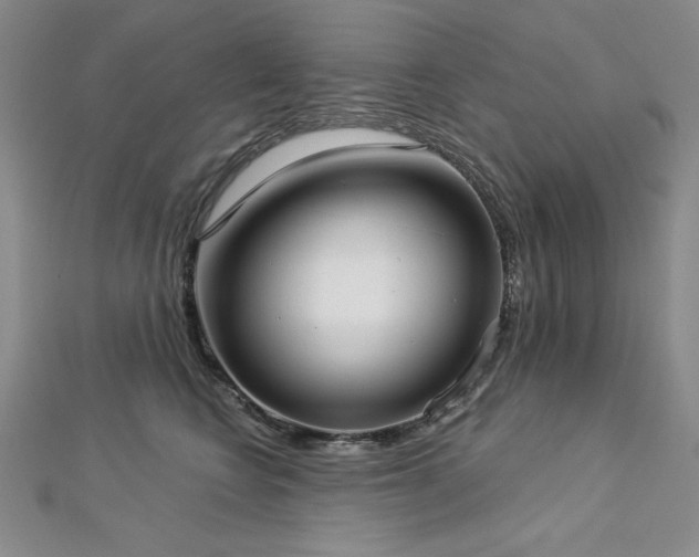 X0000113160566200909041258