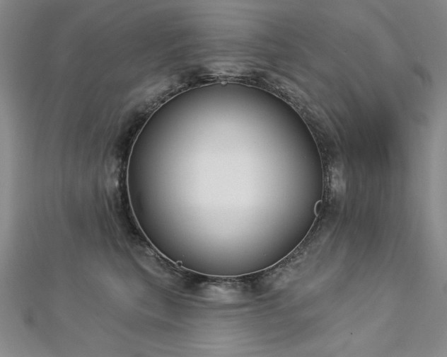 X0000113160567200909041258