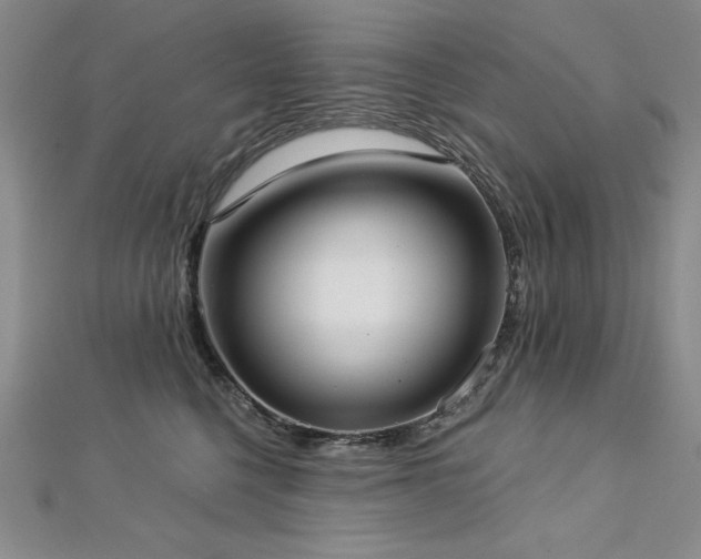 X0000113160568200909041258