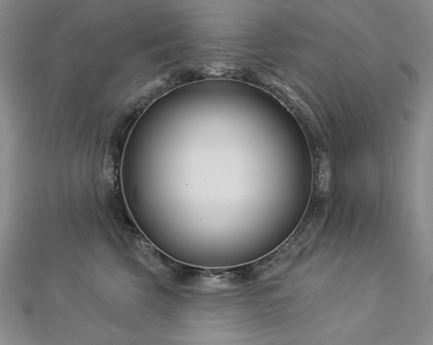 X0000113160569200909041258