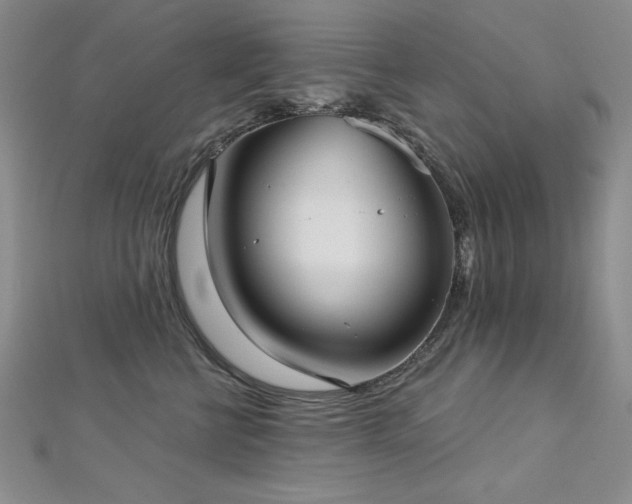 X0000113160570200909041258