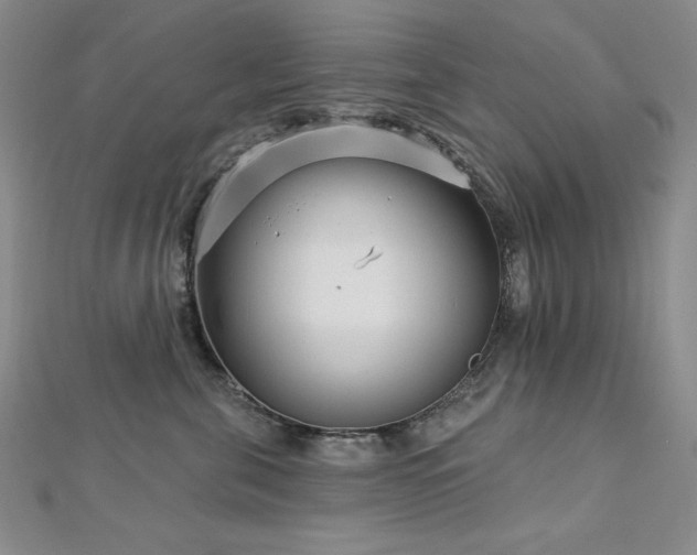 X0000113160571200909041258
