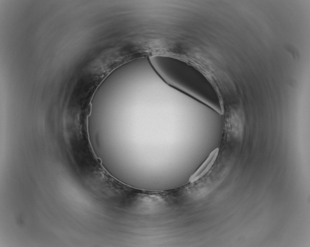 X0000113160572200909041258