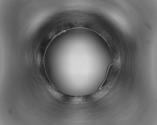 X0000113160574200909041258