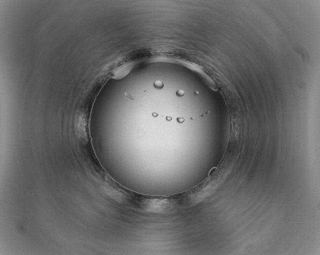 X0000113160575200909041258