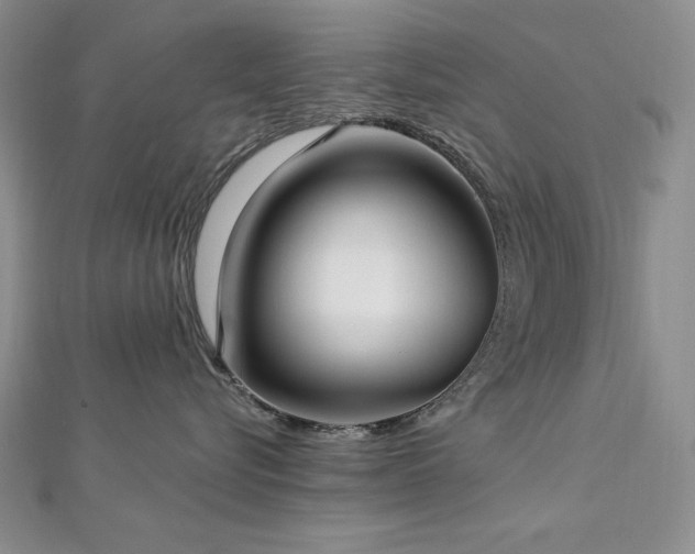 X0000113160576200909041258