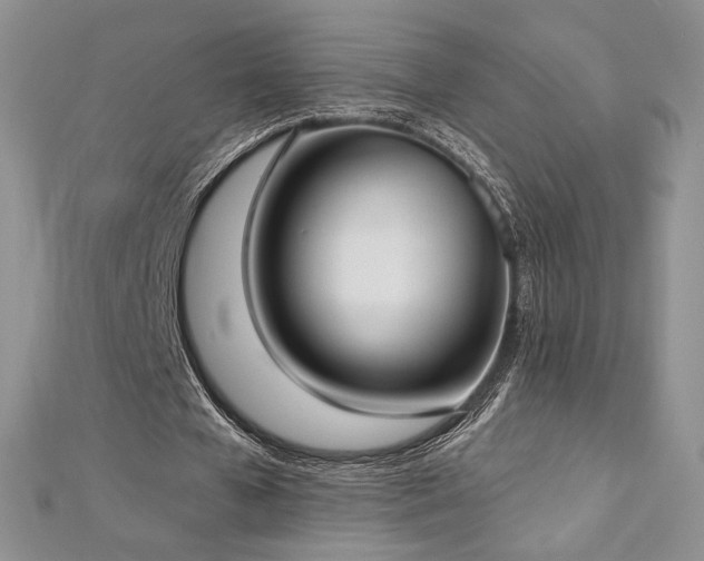 X0000113160577200909041257